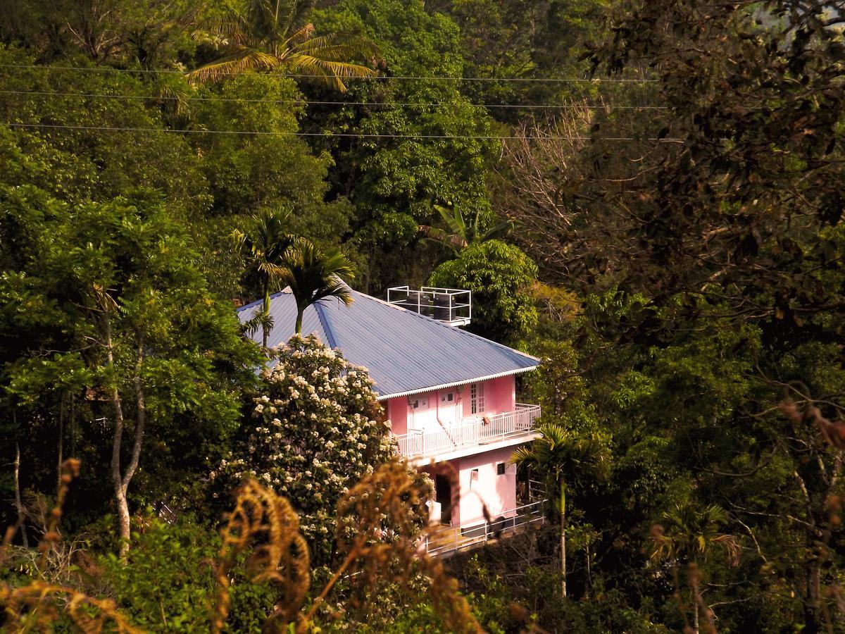 Drizzle Valley Cottage Munnar Exterior photo